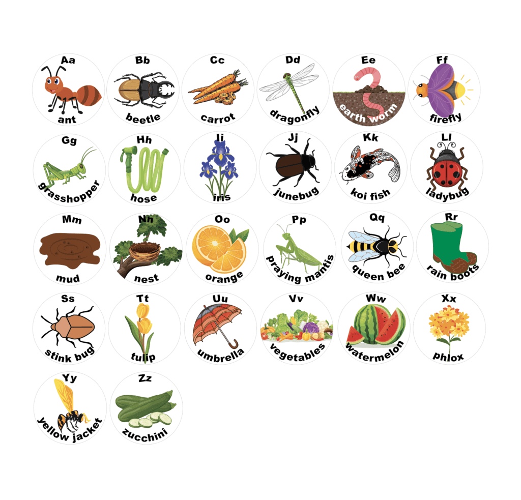 Colorful alphabet with sea creatures and insects for sensory learning.