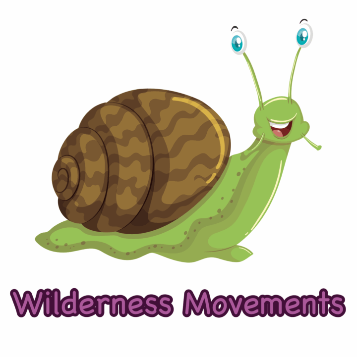 Wilderness Movements