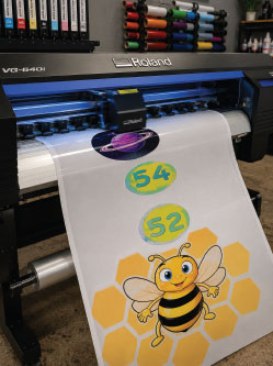 Colorful sensory path with bee illustration and numbers for children.